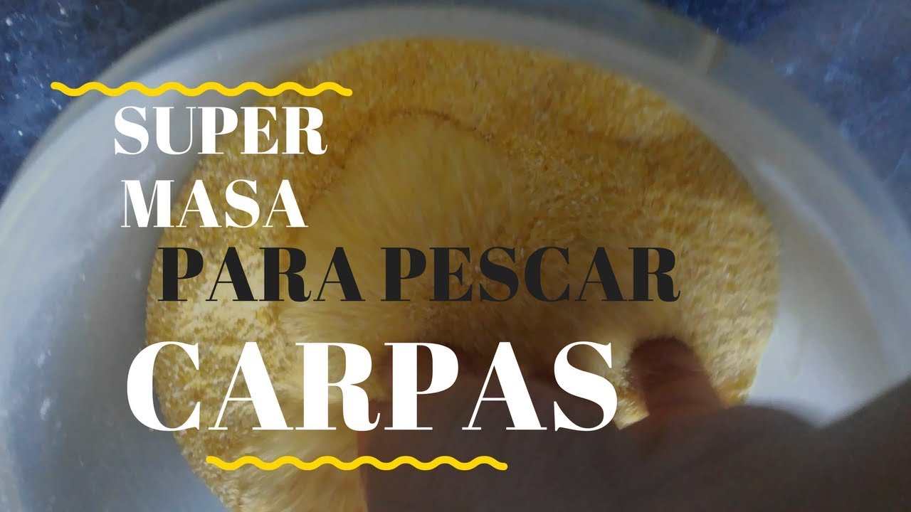 MASA MUY EFECTIVA PARA CARPAS GRANDES