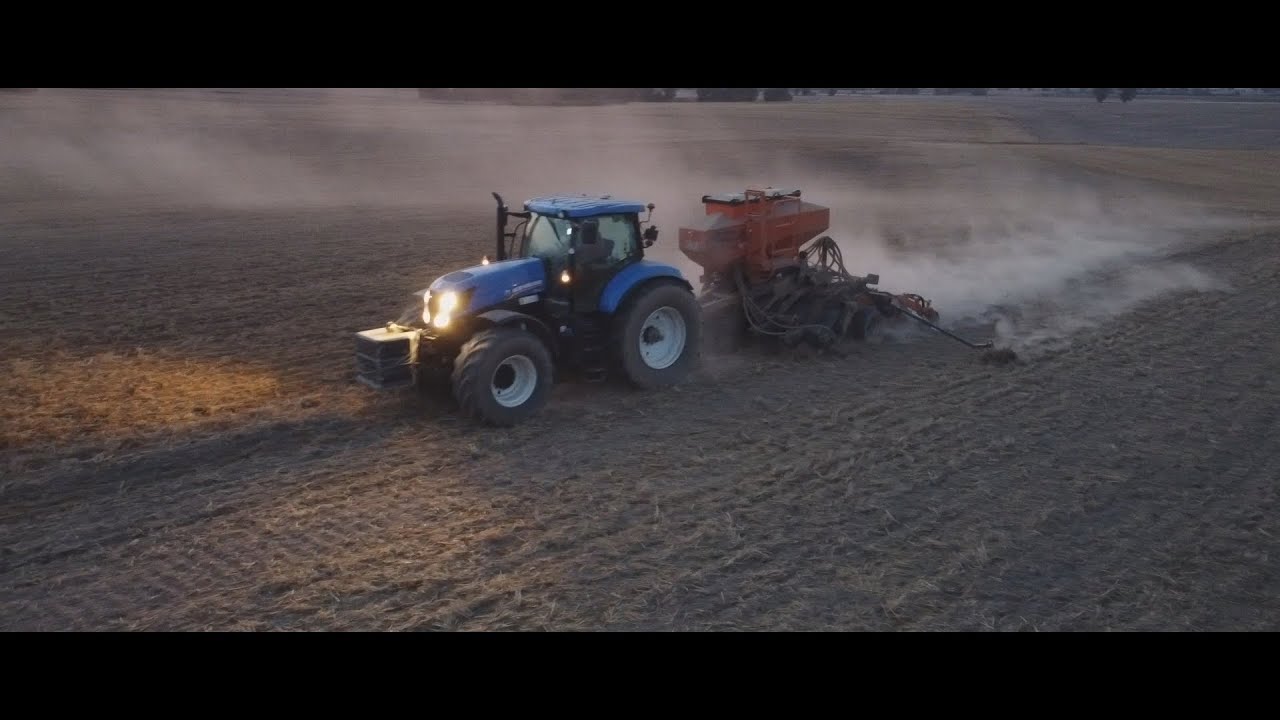Pasowy siew rzepaku.|Mzuri Pro-Til 4T|New Holland T7.220|Firma AgroLand|