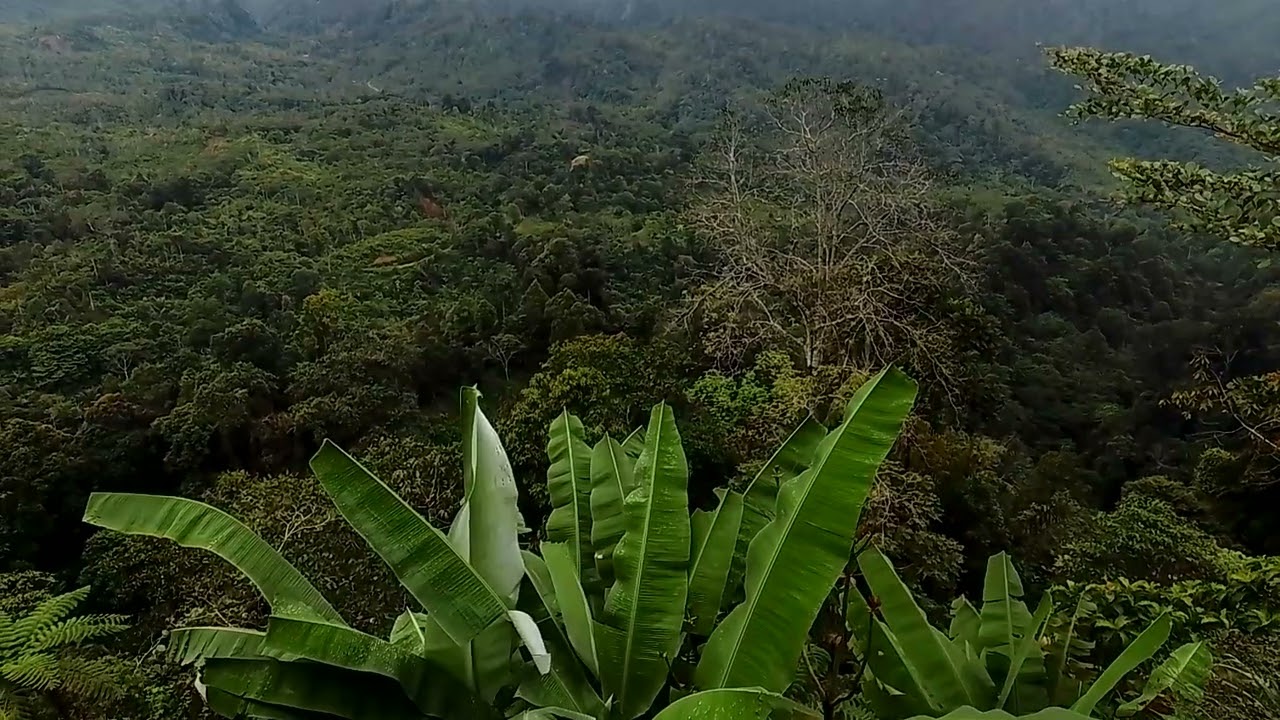 Misty Mount Salak A Journey to Remember