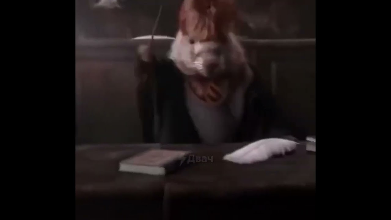 Bober Kurwa Harry Potter