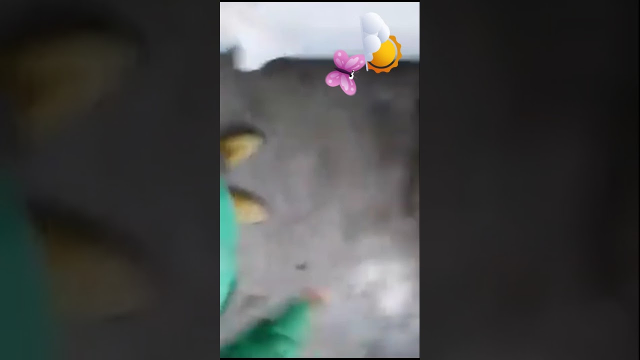 Relámpaguea amor cielo ante mi silueta brisa en el silencio amor puro para mi amada Ángel Celestial