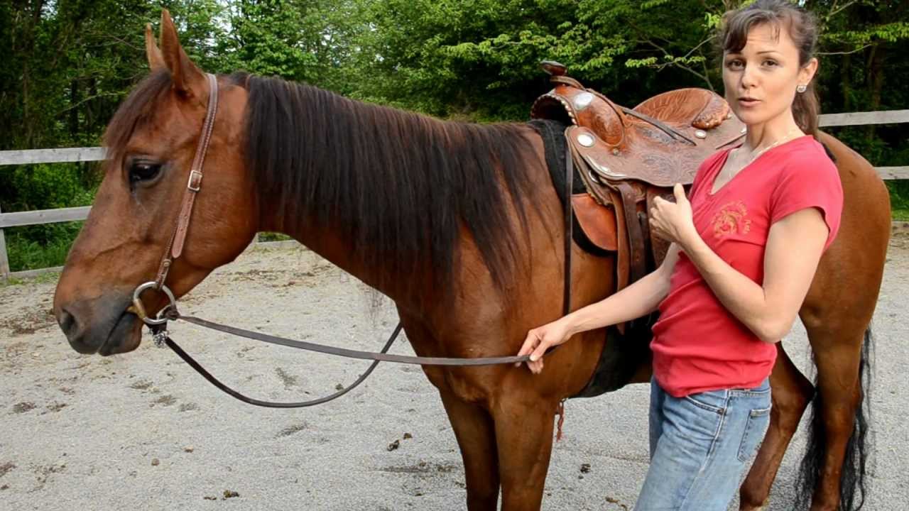 Green Horse riding