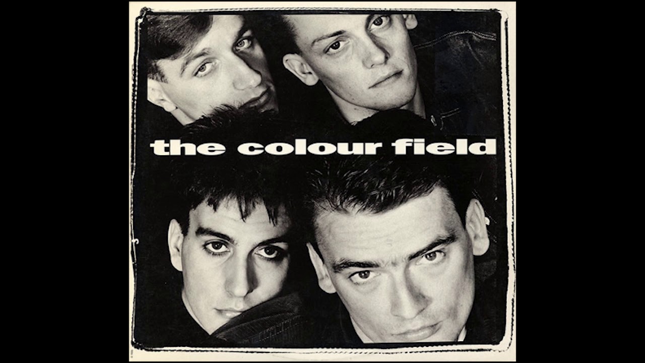 the colourfield