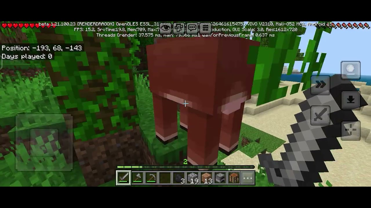 I play survival mode in Minecraft