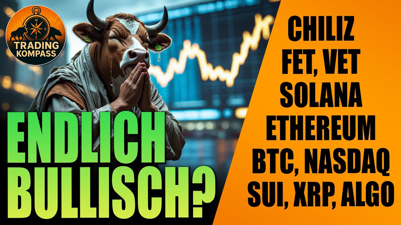 Gro&szlig;es Krypto-Update: Bitcoin, Nasdaq, ETH, Soalana, XRP, Fetch.AI, SUI & Co. | Analyse & Kursziele