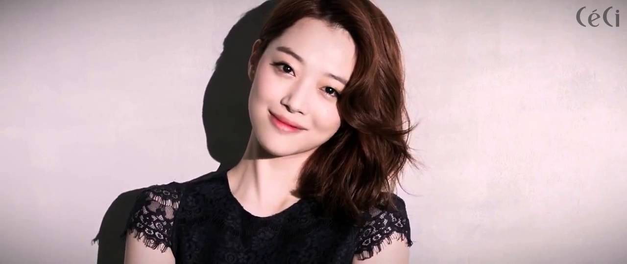 f(x) Sulli Ceci 2013