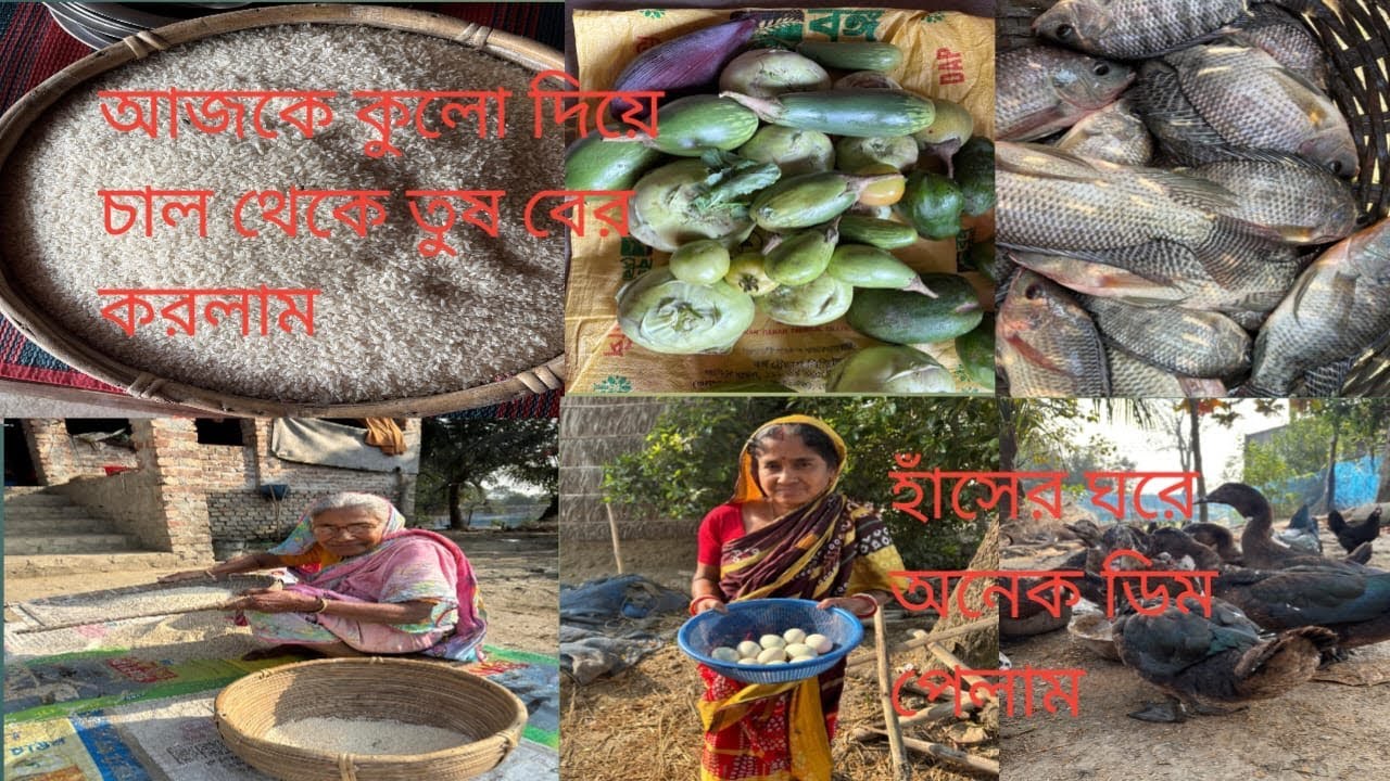 কুলো দিয়ে ঝেড়ে চাল থেকে তুষ বের করলাম।