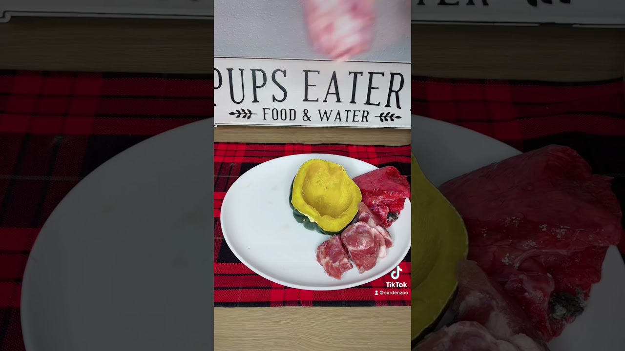 Raw fed dogs thanksgiving meal