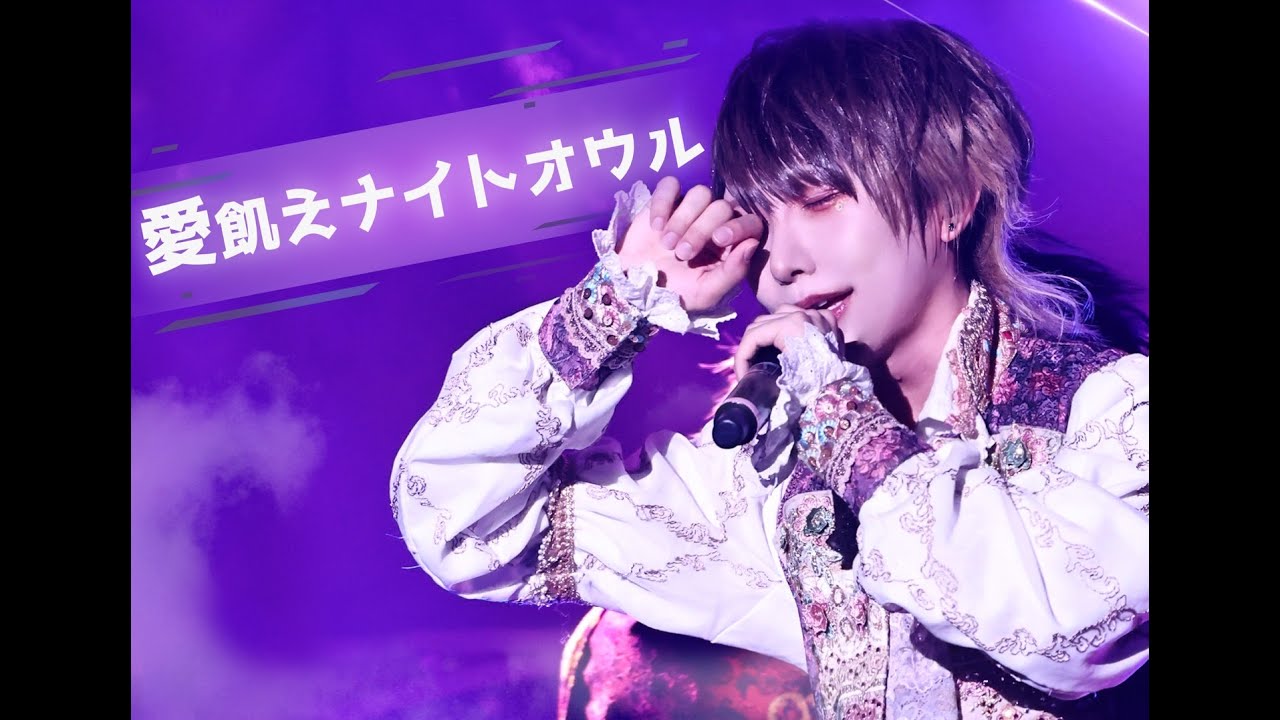 【ベアードアード】愛飢えナイトオウル/ベアードアード @ Zepp Diver City【LIVE MOVIE】