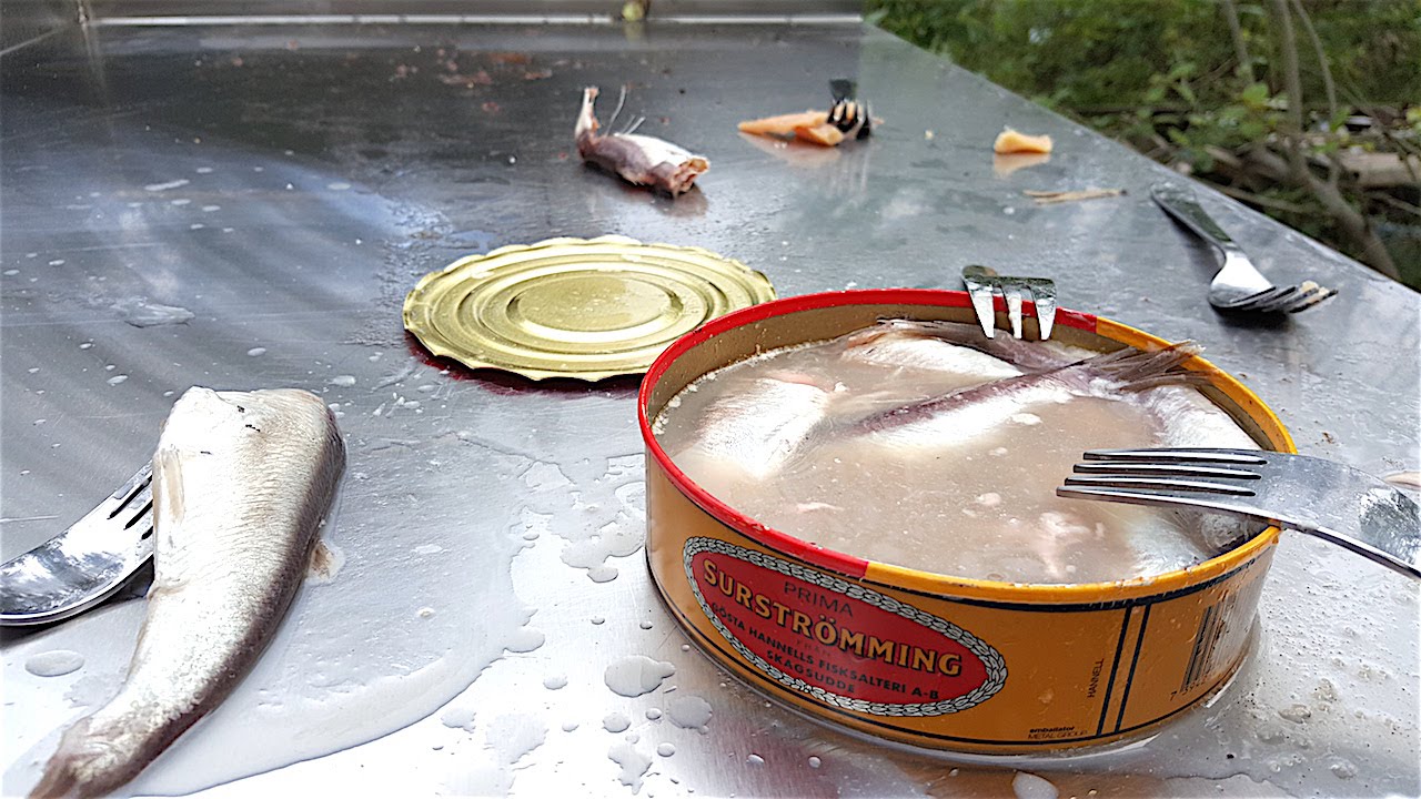 Man Eats Rotting Fish Surstr&ouml;mming & Pairs It With Budweiser