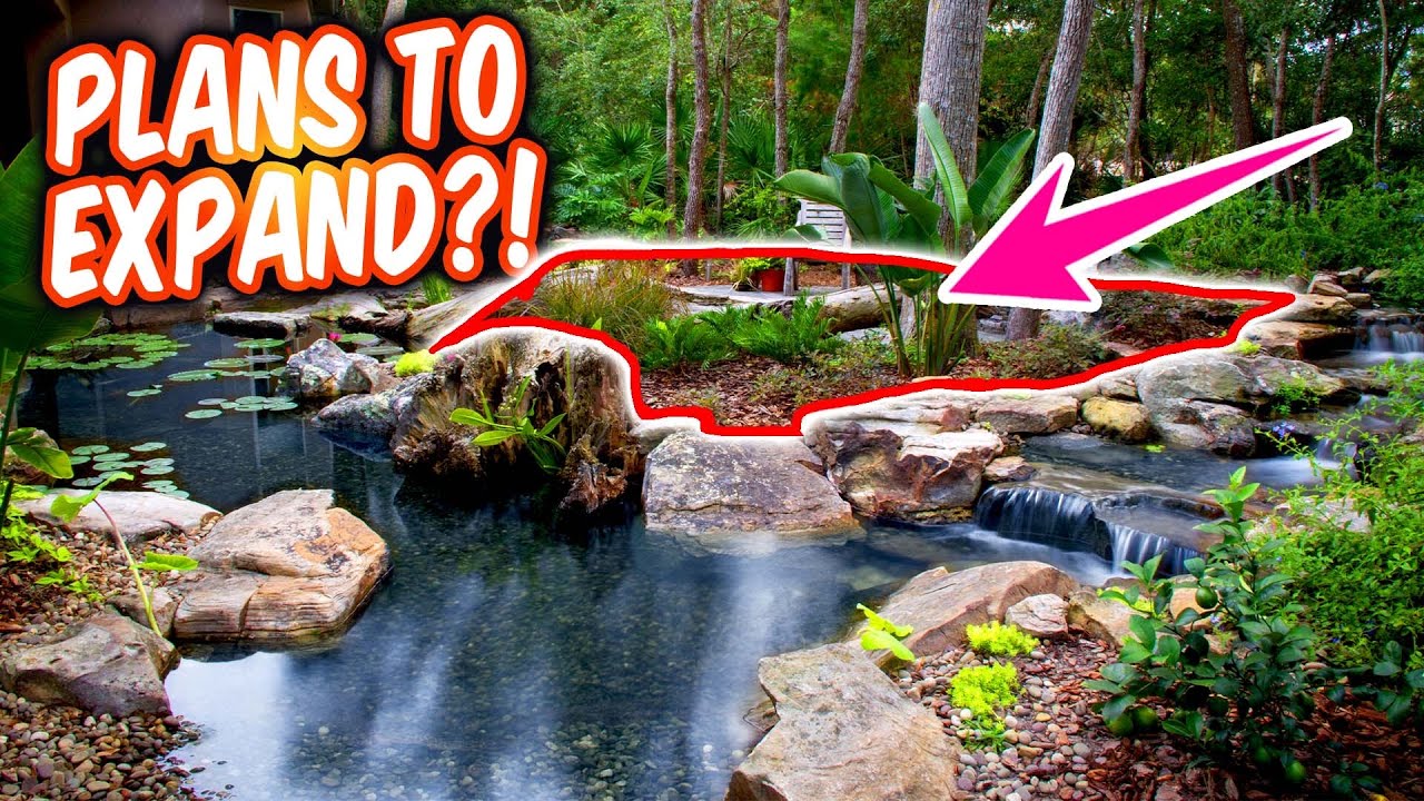 A Pond We Built For Our TV Show Pond Stars!