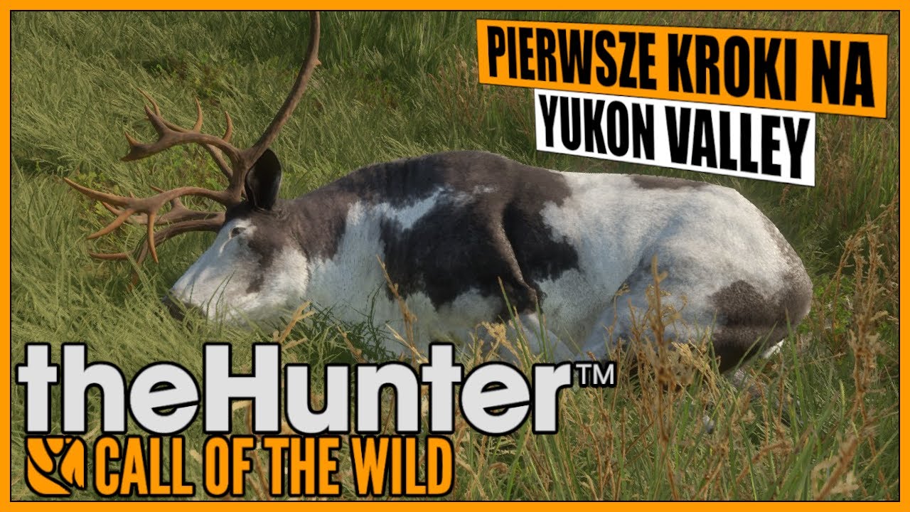 Łaciaty Renifer i Yukon Valley - The Hunter: Call of the Wild
