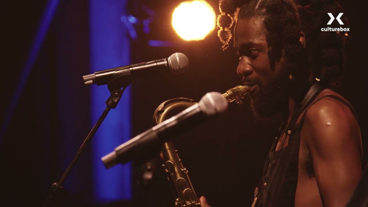 Steam Down - Live in Paris