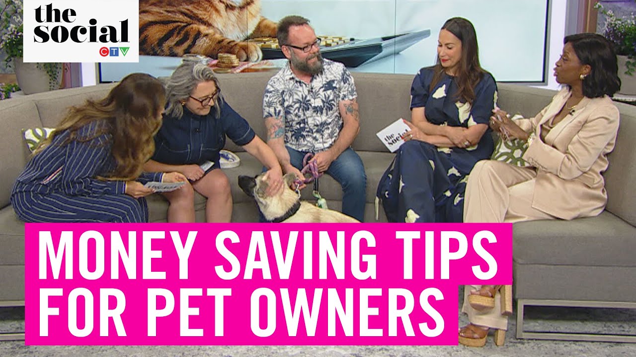 Money-Saving Tips For Pet Owners! 💸 | The Social