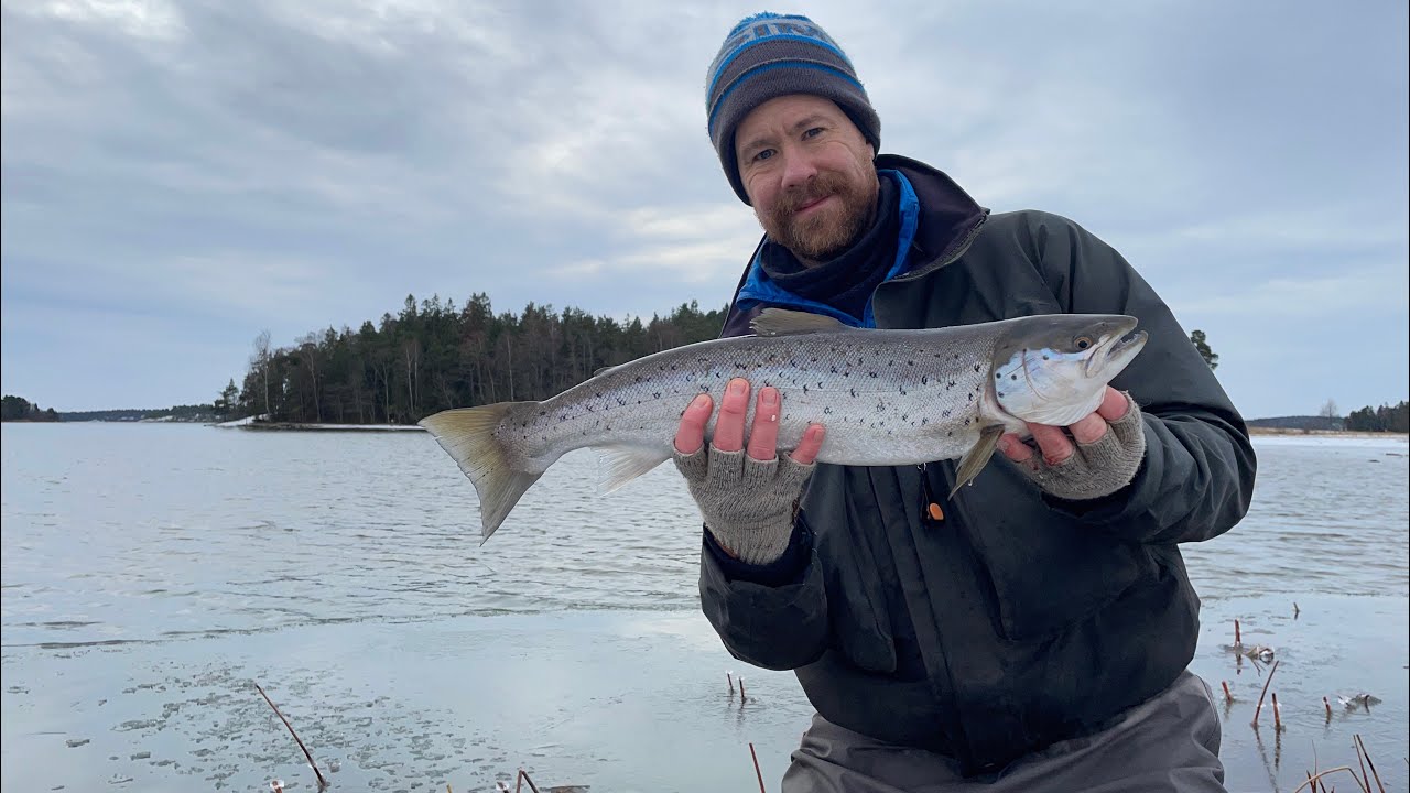 Vinterbl&auml;nkare i februari p&aring; B3 bonker