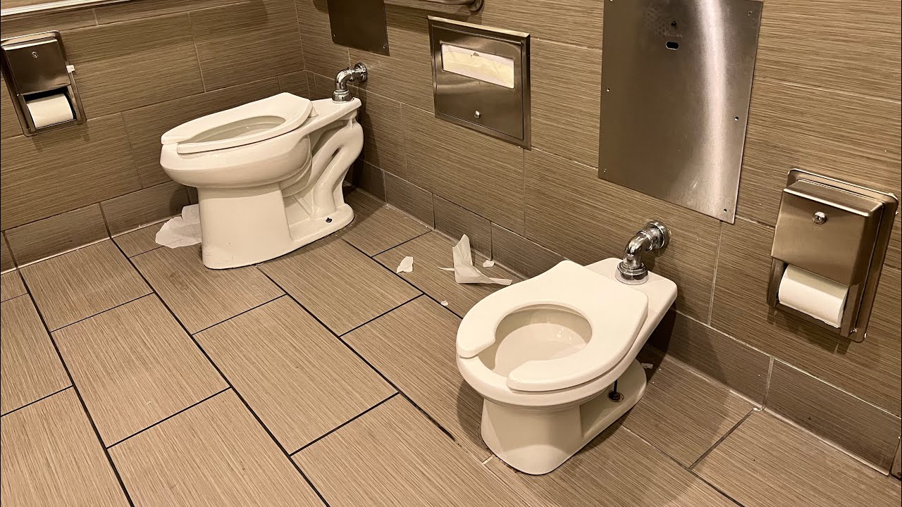 Baby ProFlo & Kohler Highline Toilets in Family Restroom | Toilet Flush Desensitization Training