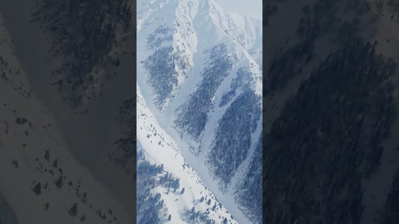 Aeroplane Service...Detailed video