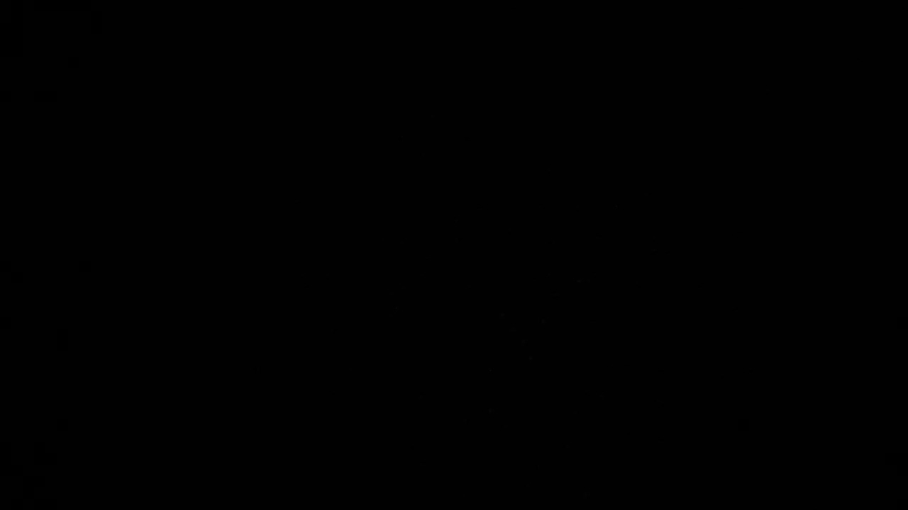 ٦ فبراير ٢٠٢٦