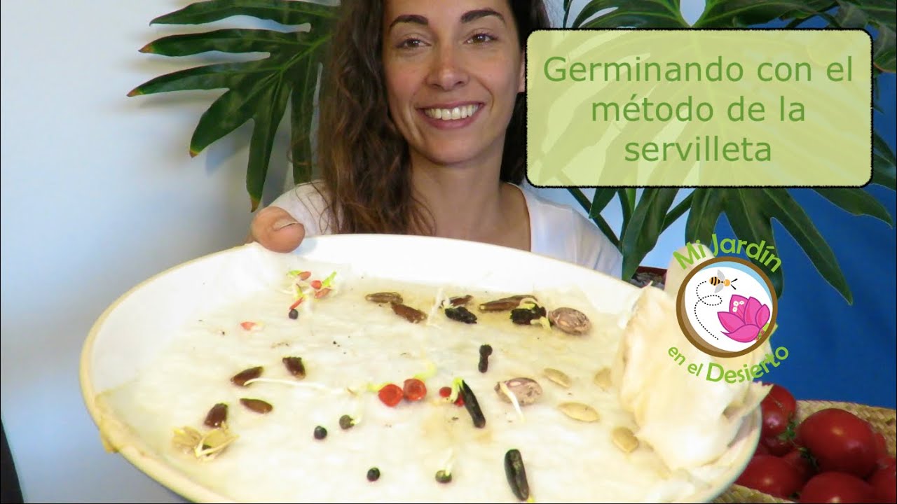 Como GERMINAR SEMILLAS más rápido con el MÉTODO DE LA SERVILLETA