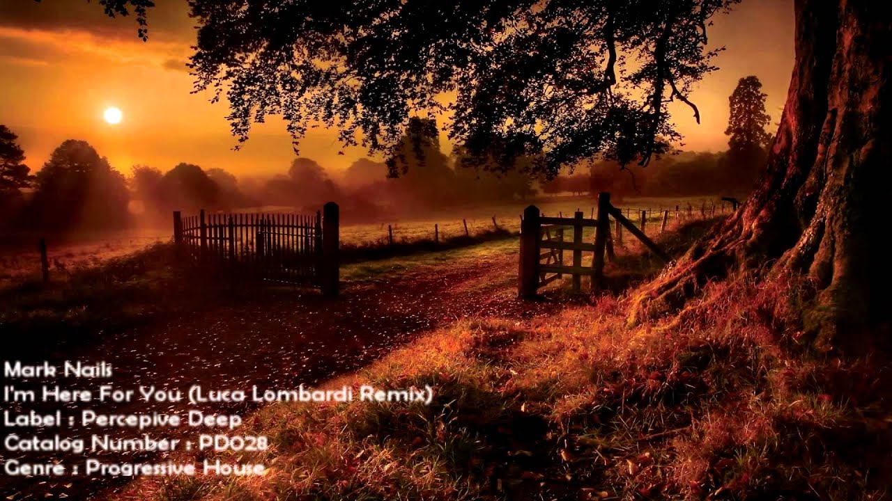 Mark Nails - I'm Here For You (Luca Lombardi Remix) [PD028] [HD 1080p]