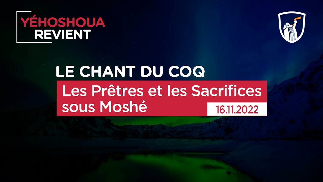 Les Prêtres et les Sacrifices sous Moshé