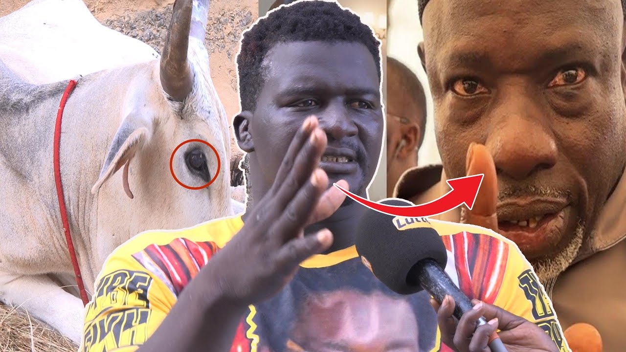 Quench dit tout sur sa démission de l’écurie Lansar : 