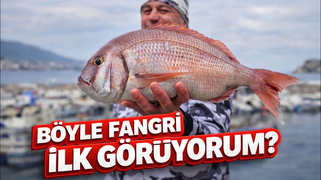 BU FANGRİ İNANILMAZ KİLO ALMIŞ?
