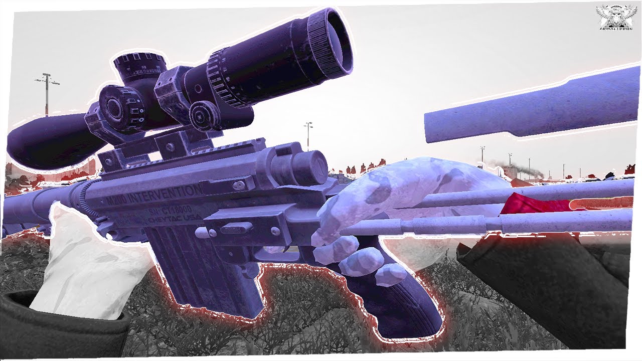🌳 Timbalands | Dayz Highlights (ARMAGEDDON) (Cheytac)