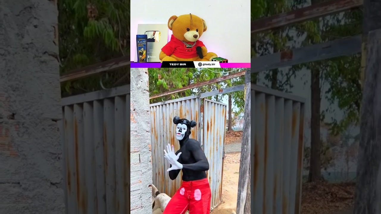Pra que serve aquele port&atilde;o????
