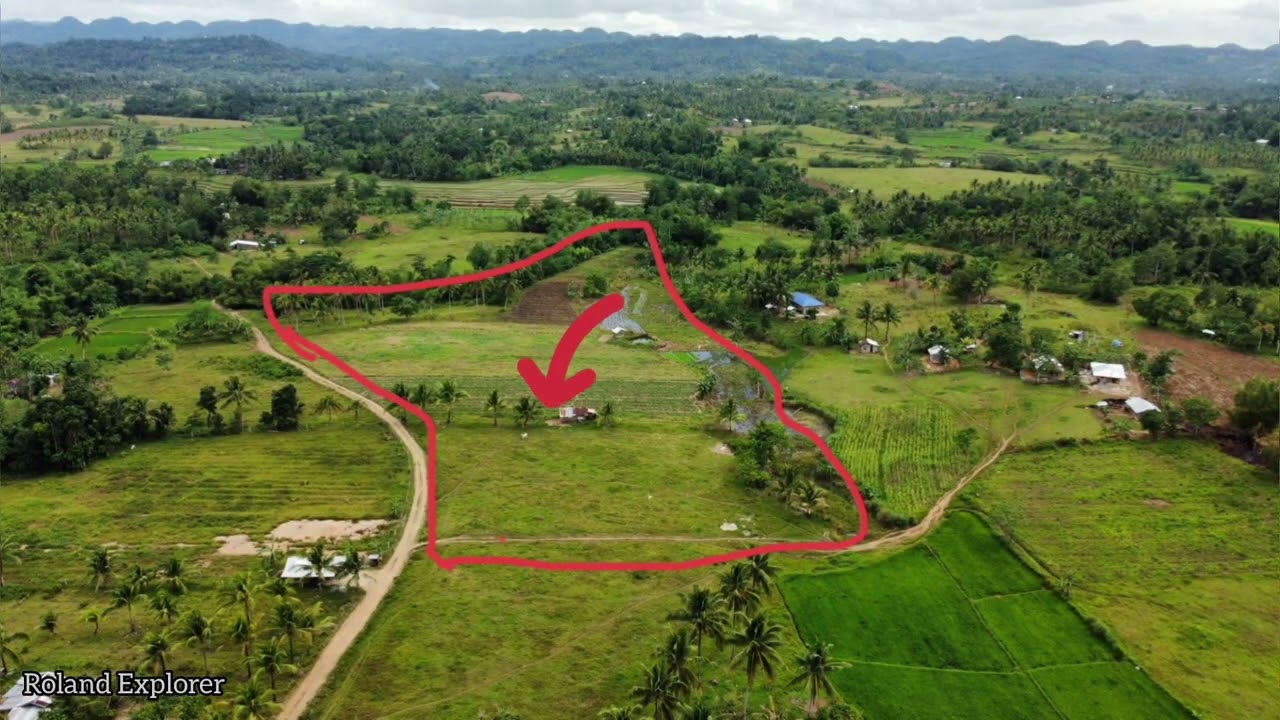(SOLD) Farm Lot along the Creek for Sale | 1.2 HEC | Titled | Carmen Bohol | Price 4M