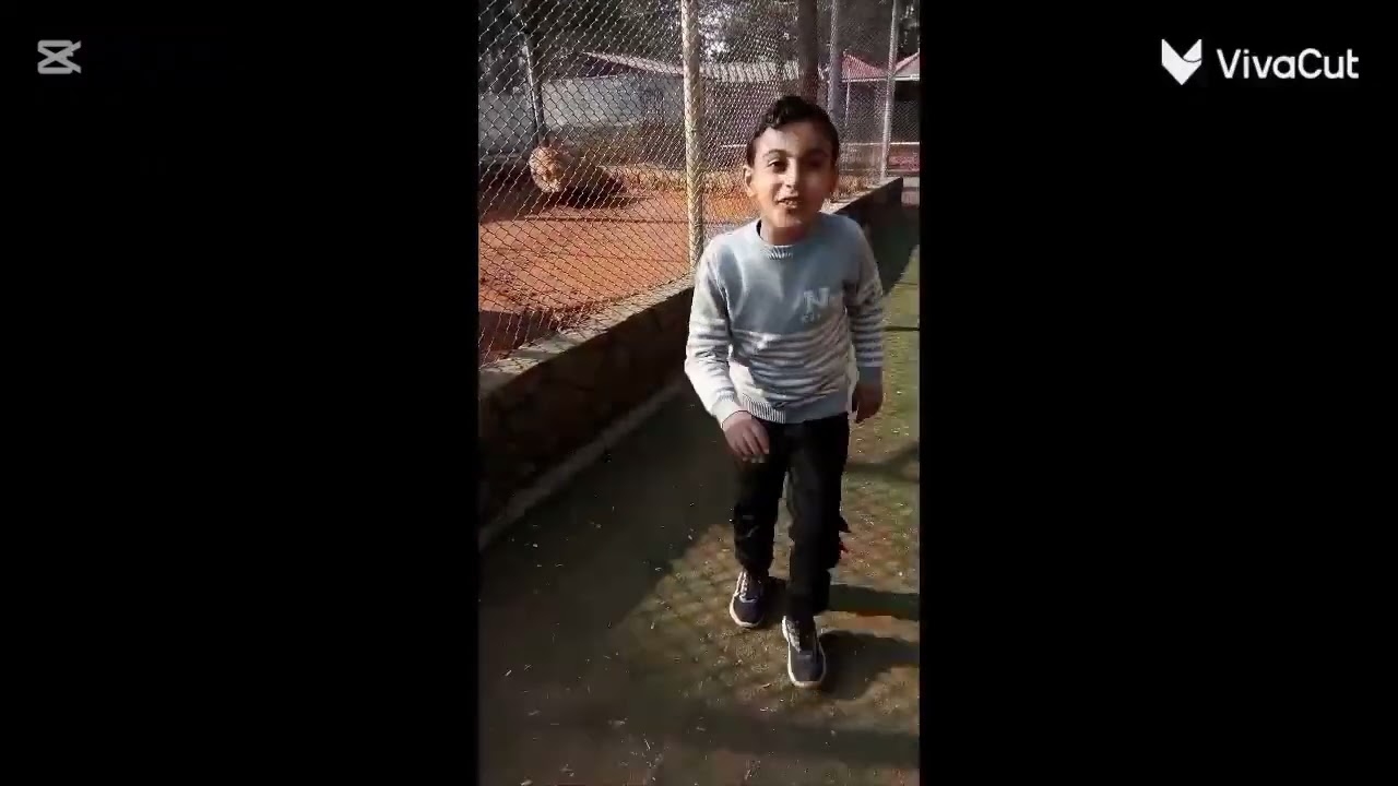   المشتل Bark Zooمقتطفات من حديقه الحيوان في ادلب 