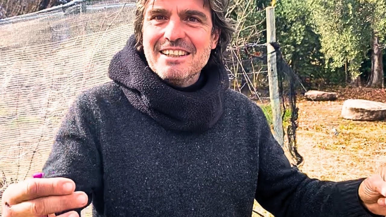 👉 ¿Cómo terminó haciendo VINOS Naturales en Traslasierra? 🍇