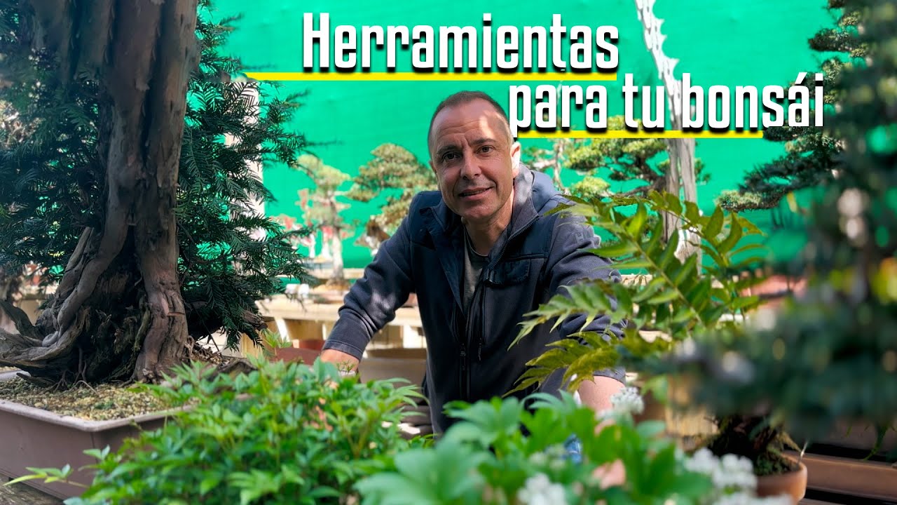 🇪🇸🇪🇸🇪🇸 Herramientas para tu bonsai