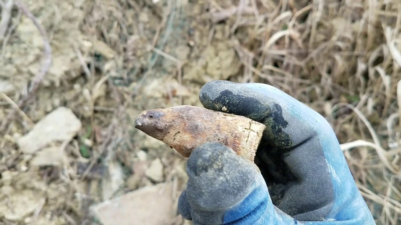 Fossil Hunting Southwest Ohio Episode 3