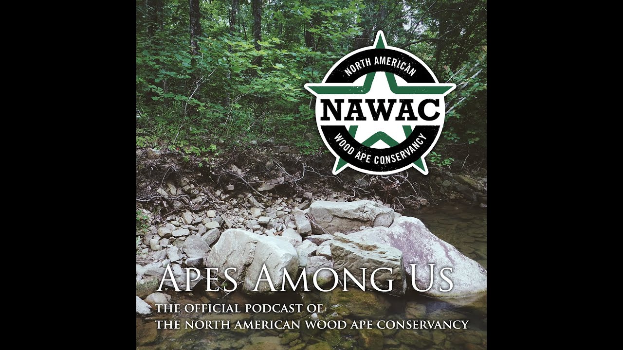 Apes Among Us Episode 2: Tag 7