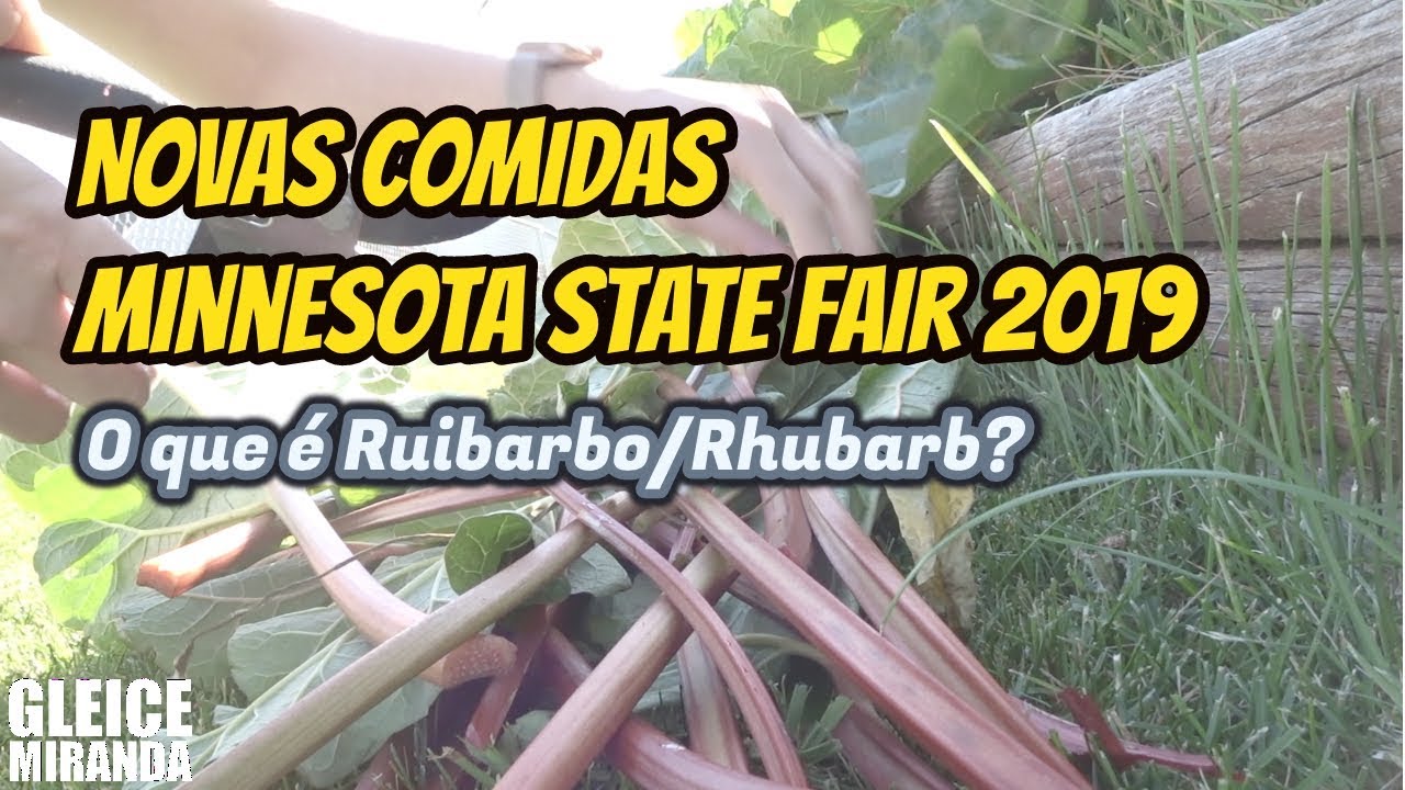 Ruibarbo? E AS NOVAS COMIDAS DA STATE FAIR MINNESOTA 2019!