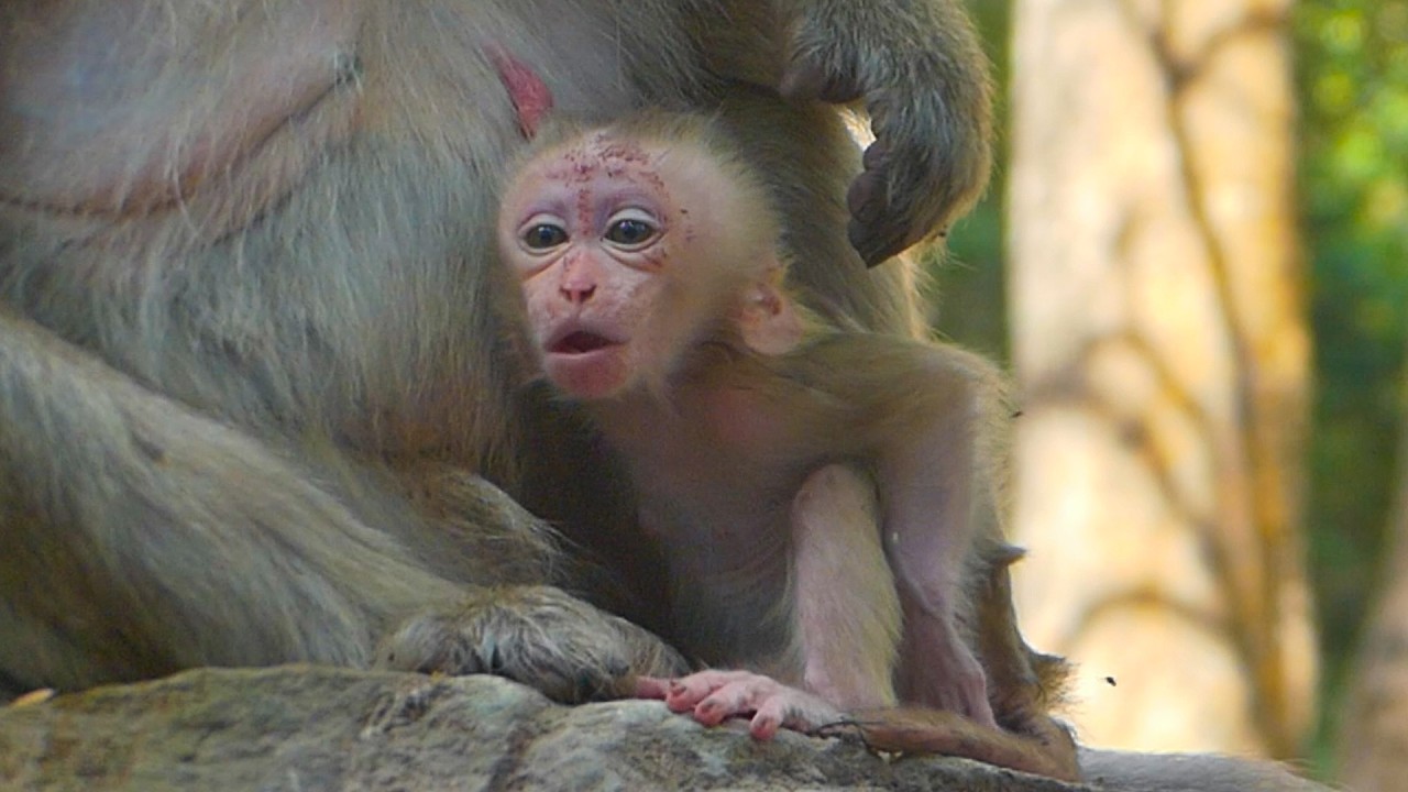 Adorable newborn Boris is so excited & reacts a cute face to the camera
