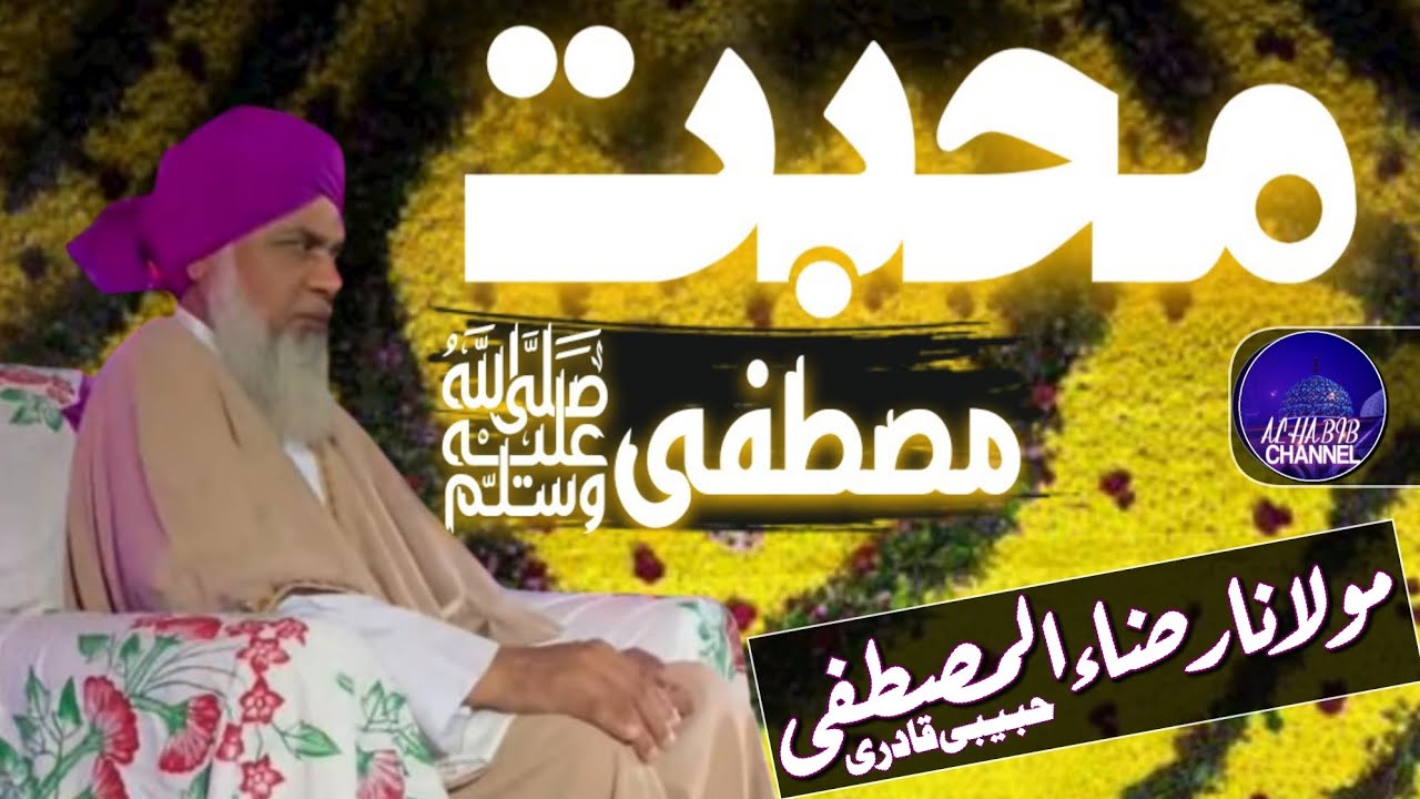 hazrat molana rzaul mustafa habibi qadri