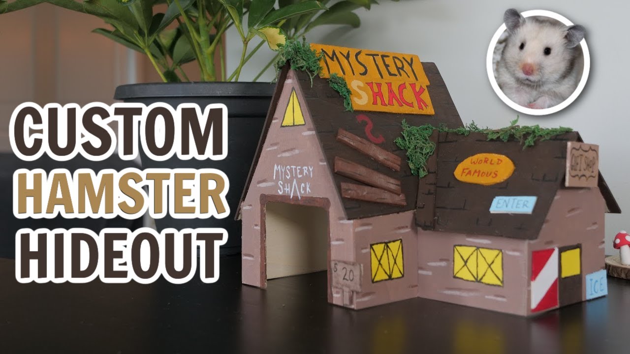 How to Make a Custom Hamster Hideout!