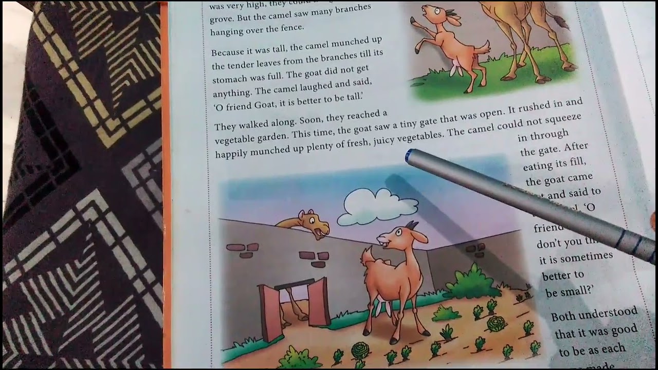 Moral story- The camel and the goat