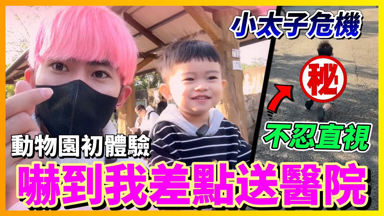 【Qi黃帝】小太子動物園初體驗 玩得太開心沒有注意到危險 結果意外就發生了.. | 黃帝の遊戲頻道➤@zxsdexz