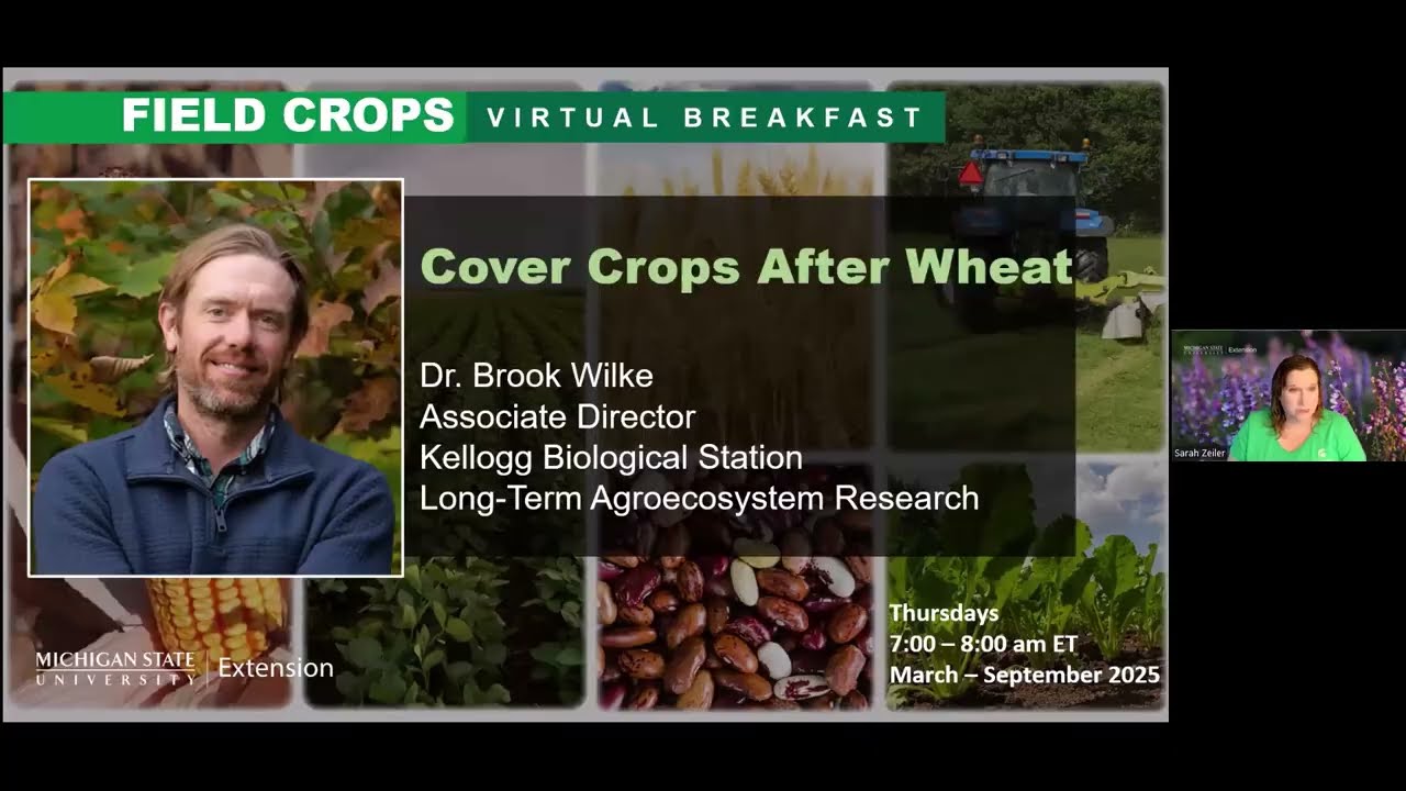 Field Crops Virtual Breakfast: Cover Crops After Wheat