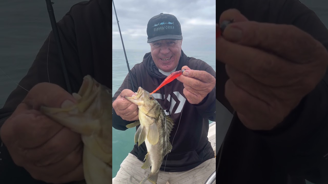 The Calico bass are bitting the Rapala Freeloader full speed in Dana Point  California!