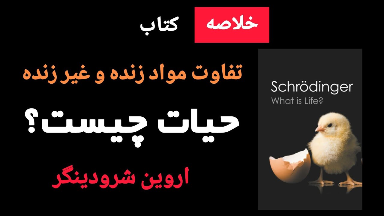 📚تو کمتر از ۱۰ دقیقه  کتاب 