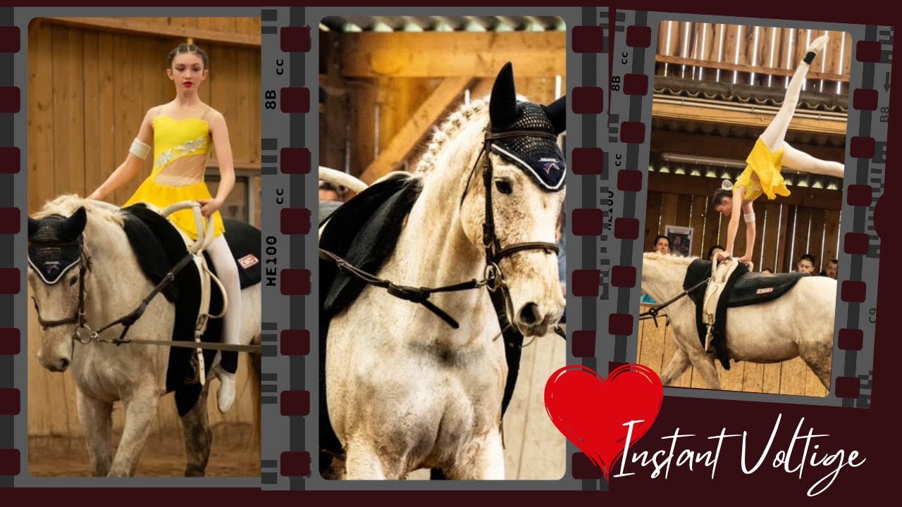 🤸‍♀️🐎 Voltige équestre, Harmonie et Elégance