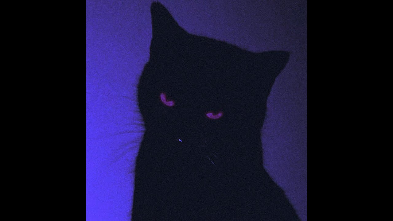 [FREE FOR PROFIT] NIGHT LOVELL TYPE BEAT 