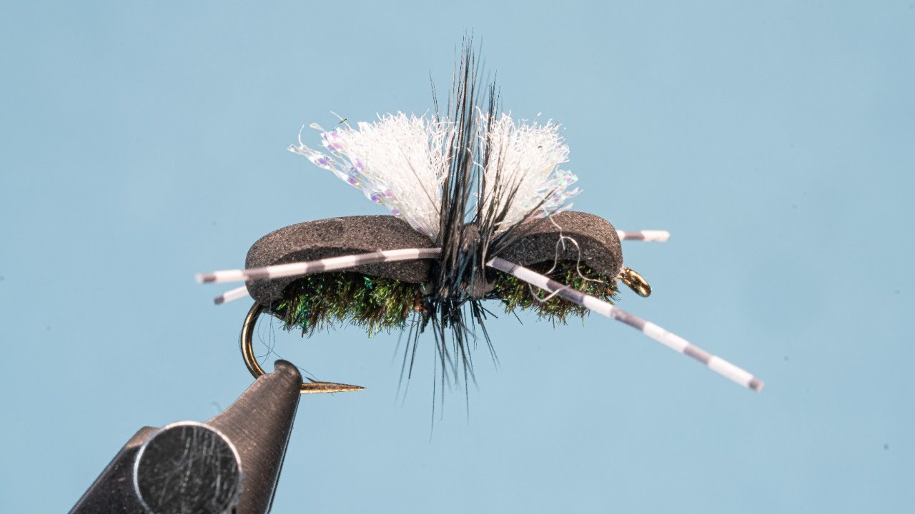 Tying the Psycho Ant
