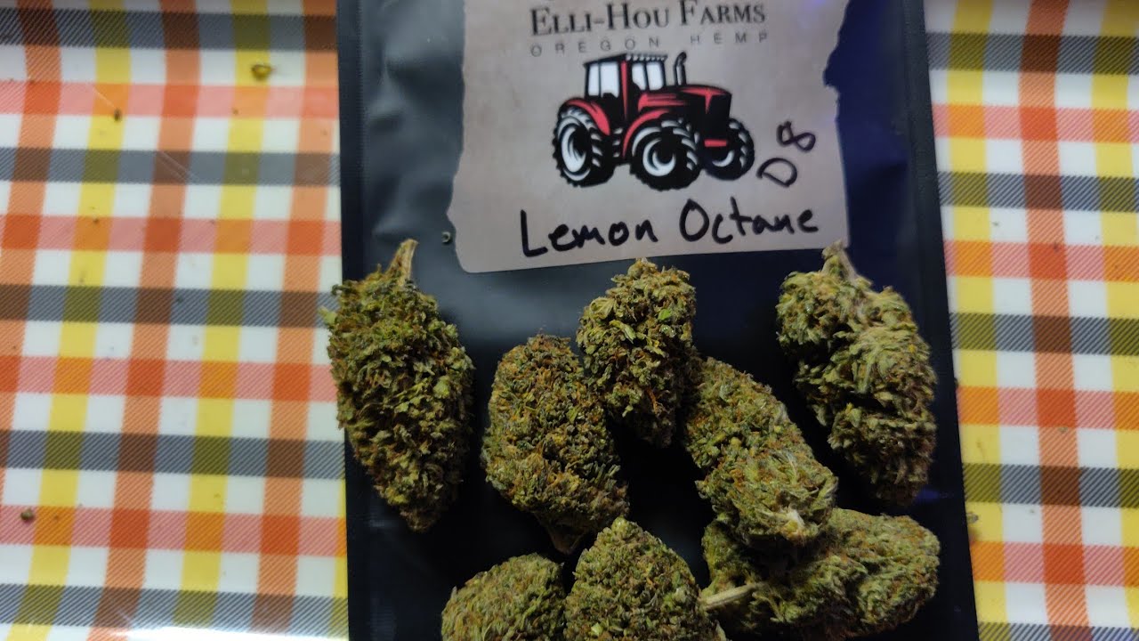 Elli-Hou Farms Oregon Hemp Delta 8 Flower Lemon Octane strain review!🔥🍋🦨⛽🔥 New Menu/Strains!
