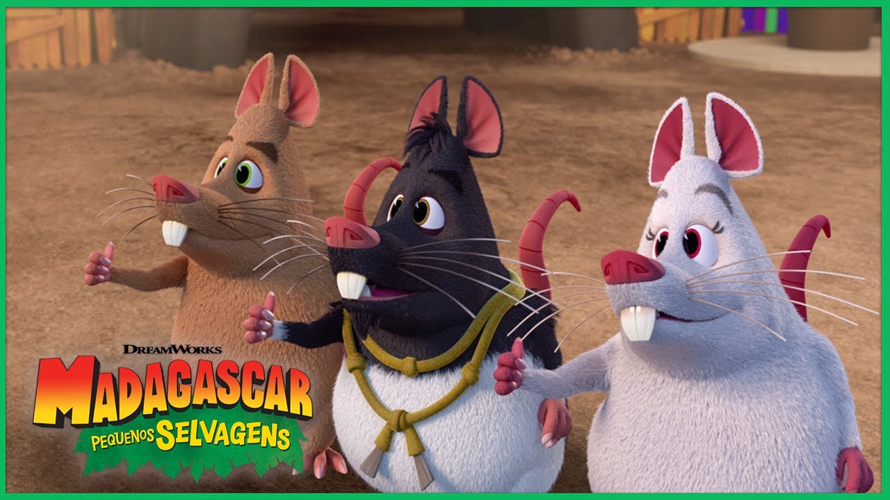 Atuando com Amigos 🎤 | DreamWorks Madagascar em Portugu&ecirc;s