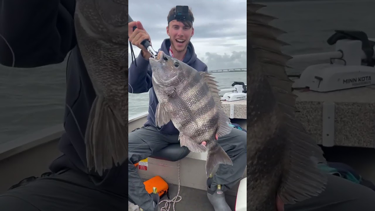 Sheepshead World Record IGFA 4lb Test 10.1lbs